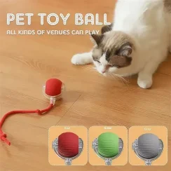 Pet Automatic Rolling Ball Interactive Ball Cat Toy Electric Cat Dog Training Imitation Mouse Rechargeable Product