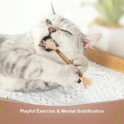 10pcs Natural Matatabi Kitten Chew Cat Toy New Digestion Silvervine Toys Pet Snacks Stick Cleans Tooth Removers Hair to Promote