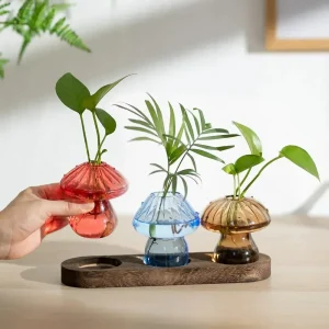 Cute Transparent Colorful Mushroom Glass Vase Propagation Terrarium for Plants & Flowers for Plant Lovers Home Office Decor