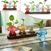3/5Pcs Glass Colorful Mushroom Planter Vase with Wooden Stand Unique Hydroponic Planter for Home Office Decor