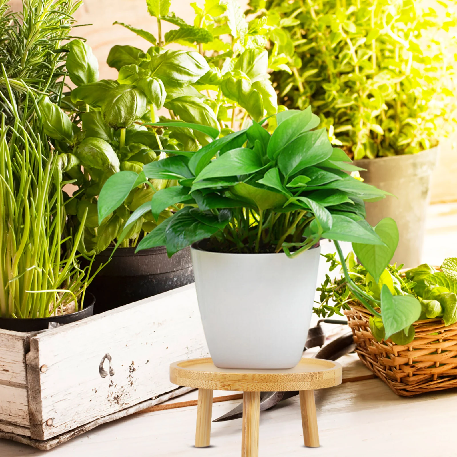 Round Wood Decorative Rack Solid Wood Flower Pots Vintage Indoor Garden Balcony Planter Stands Smooth Modern Planter - Image 3