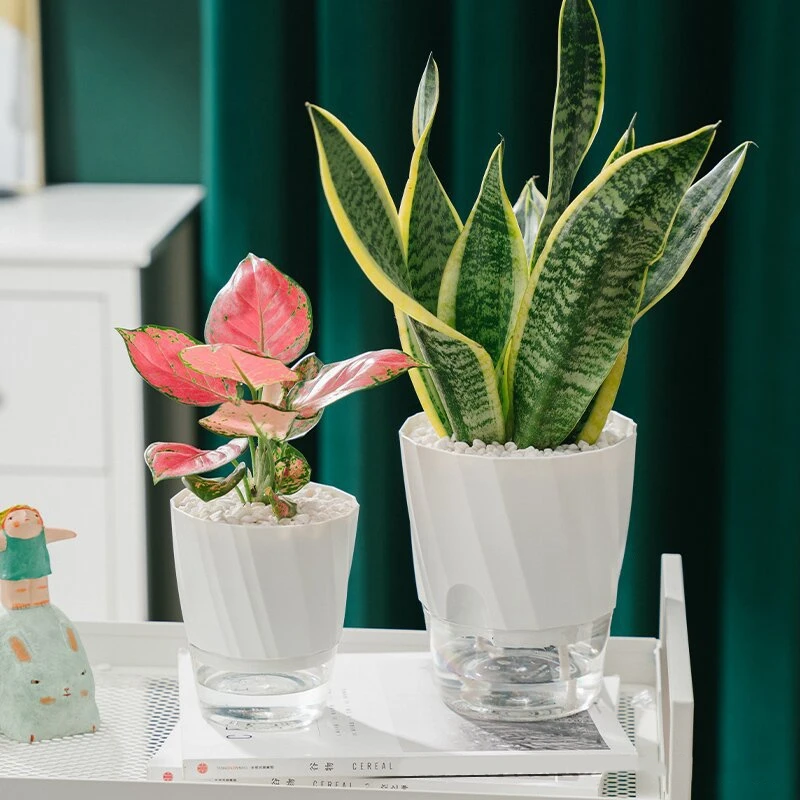 Self-Watering Flowerpot Indoor Transparent Pots for Plants Double-Layer Planters for Home Garden Green Plant Accessories - Image 2