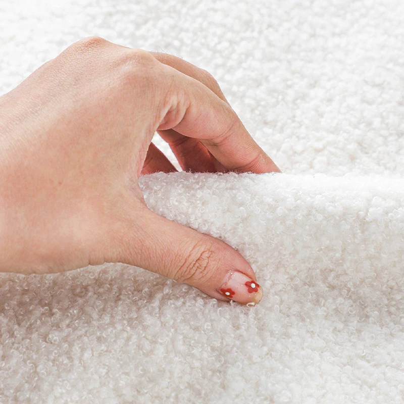 Multi-color Teddy Faux Fur Cushion Cover Living Room Sofa 30x50 Throw Pillow Cover Ultra Soft Pillowcase White Funda Cojin Hogar - Image 6