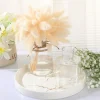High Quality Transparent Plastic Vase Straight Style for Table Wedding Home Decorative Flower Arrangement