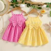Baby Girl Gingham Cami Dress 2-Pack Set: Perfect for Outdoor Outings, Valentine's Day Gift, Baby Girl Birthday Gift