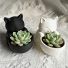 Cat-Shaped Pot with Drainage Holes Uniquely Designed for Succulents Small Flowers And Cacti Bedroom Offices Desktop Ornament
