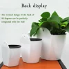 Wall-Mounted Indoor Automatic Water-absorbing Flowerpot Plastic Flowerpot Succulent Green Dill Small Green Plant Flower Pot