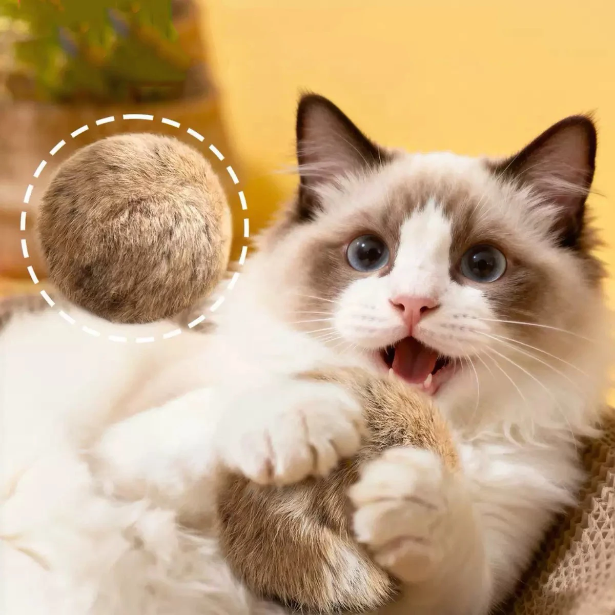 Cat toy rabbit fur ball real rabbit fur playful cat fur ball rich and pleasant pet scent sniffing cat rabbit fur ball toys - Image 3