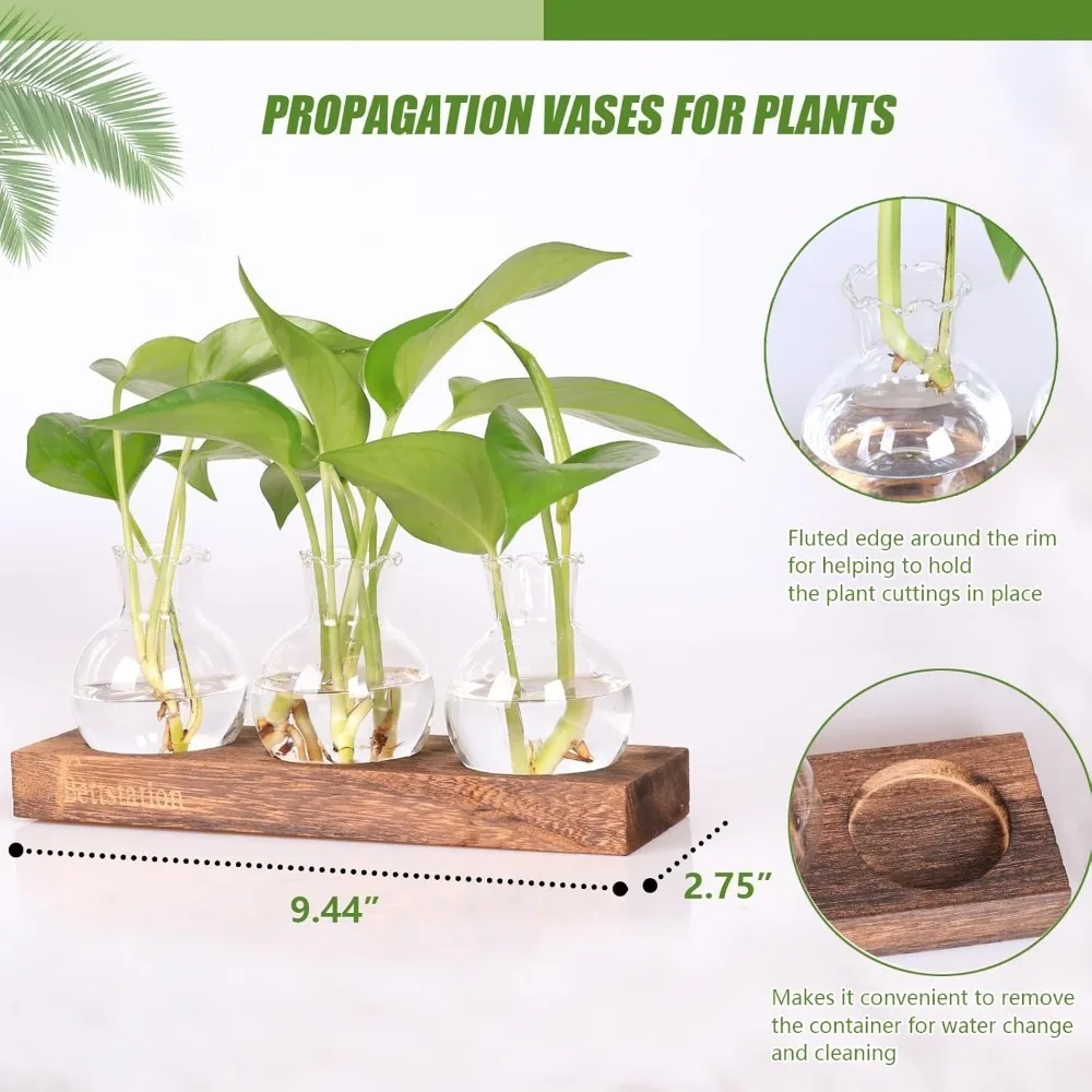 Creative Plant Transparent Hydroponics Glass Vase with Wooden Tray for Flowers Plant Cutting Rooting Pot Desktop Decorating - Image 2