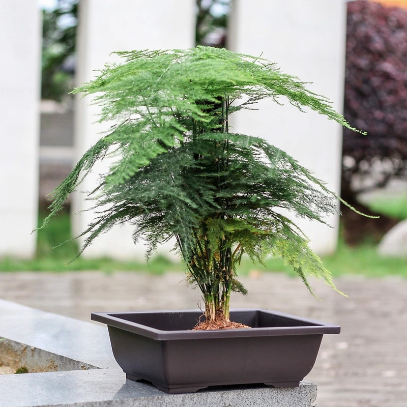 Plastic Flower Pot Rectangle Flower Vase Succulent Plant Pot Flower Bonsai Bowl Imitation Nursery Basin Planter Balcony Decor - Image 6