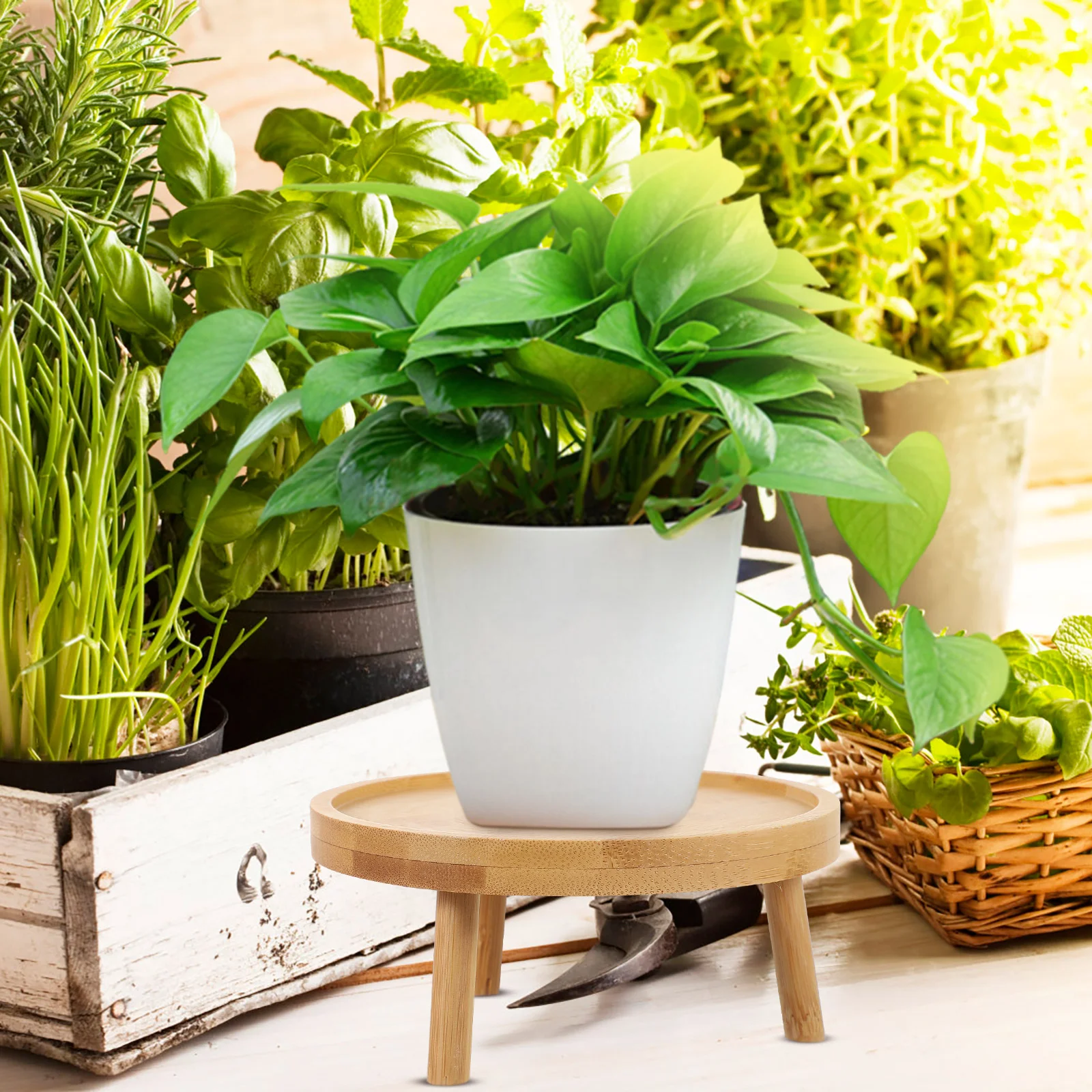 Round Wood Decorative Rack Solid Wood Flower Pots Vintage Indoor Garden Balcony Planter Stands Smooth Modern Planter - Image 5