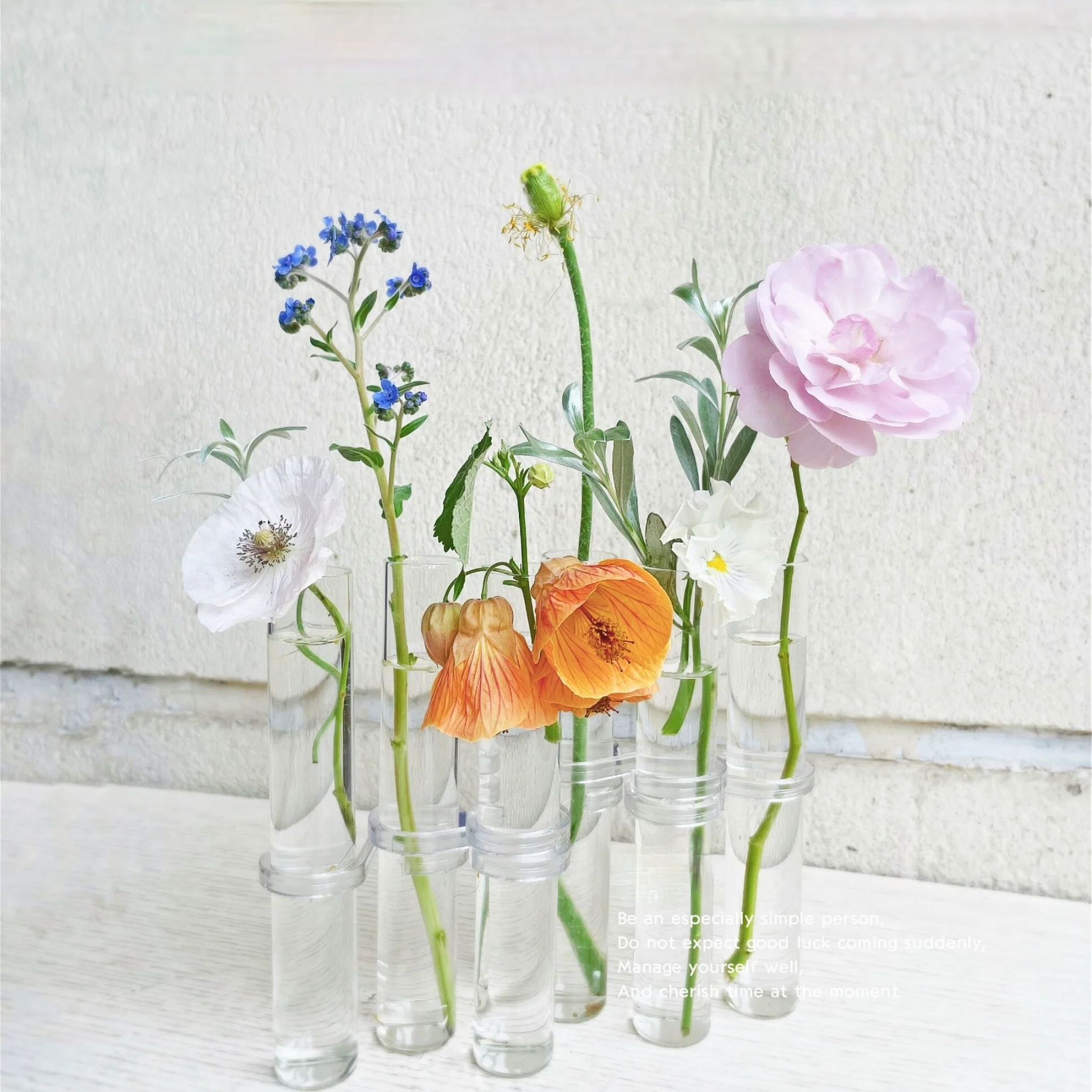 Clear Glass Vase Tubes Set Hanging Flower Holder Plant Container Flower Vases for Homes Room Decor - Image 2