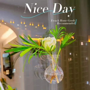 Hydroponic Pothos Plant Bottle, Plastic Hanging Piece, Decorative Acrylic Wall-mounted Transparent Vase