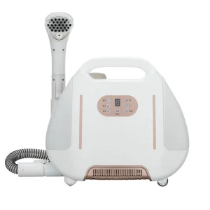 Professional Handheld car steam pressure washer with vacuum steam cleaner for couch carpet home