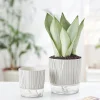 Double Layer Flower Pot Cotton Rope Self Watering Plant Pot Hydroponics Flowerpot Vases Succulent Potted Home Decoration