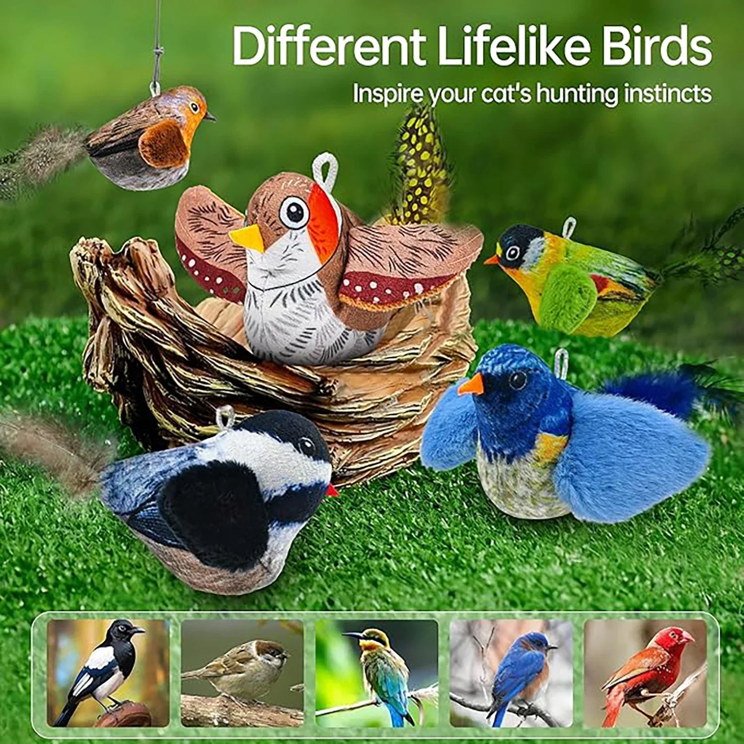Indoor Interactive Birds Toy for Cat Chasing Teasing Toy Sounding Catnip Cat Teaser Toy Self-hilarity Wall Hanging Birds Cat Toy - Image 5