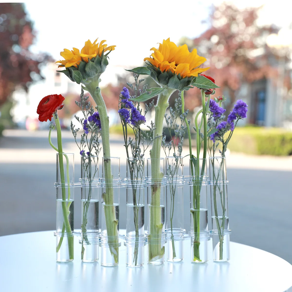 Clear Glass Vase Tubes Set Hanging Flower Holder Plant Container Flower Vases for Homes Room Decor - Image 5