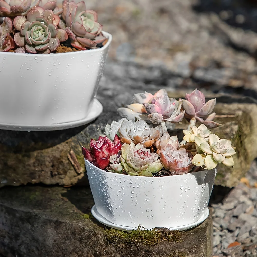 1PC succulent plant flowerpot large caliber flowerpot - Image 2