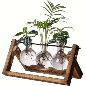 Propagation Station with Glass Plant Vases - Wooden Stand Hydroponic Planter for Indoor Plants, Tabletop Terrarium Home Decor