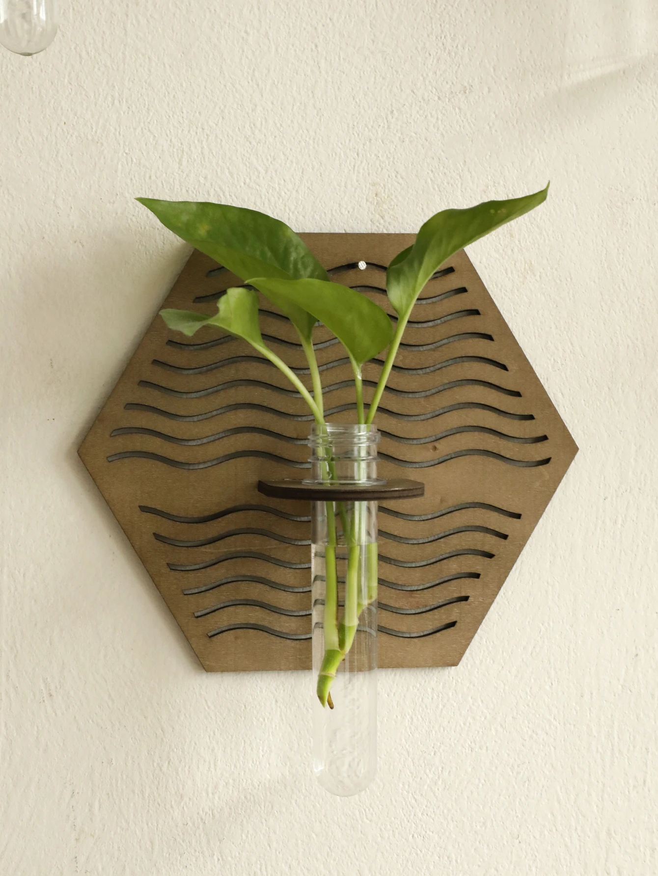 Wood Wall Vase for Green Plant Wall Mount Flower Vase Tube Boho Home Decoration Pastoral Style Plant Holder Living Room Ornament - Image 4