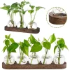 Creative Plant Transparent Hydroponics Glass Vase with Wooden Tray for Flowers Plant Cutting Rooting Pot Desktop Decorating