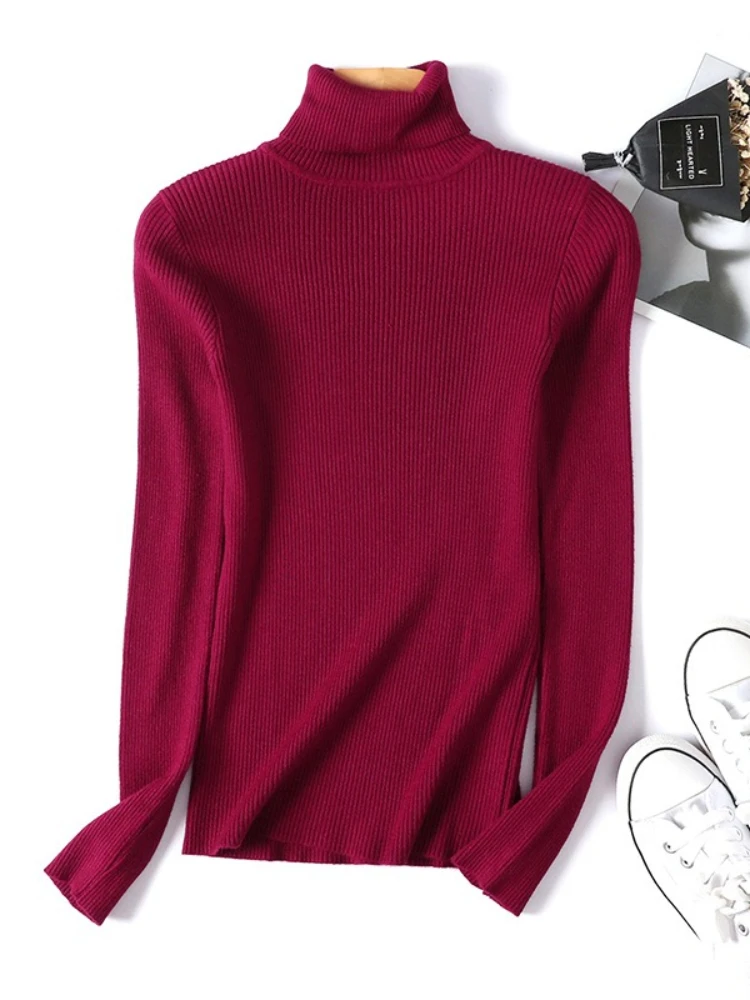 New Autumn Winter Women Knitted Turtleneck Sweater Casual Soft Polo-neck Jumper Fashion Slim Elasticity Solid Ribbed Pullovers - Image 4