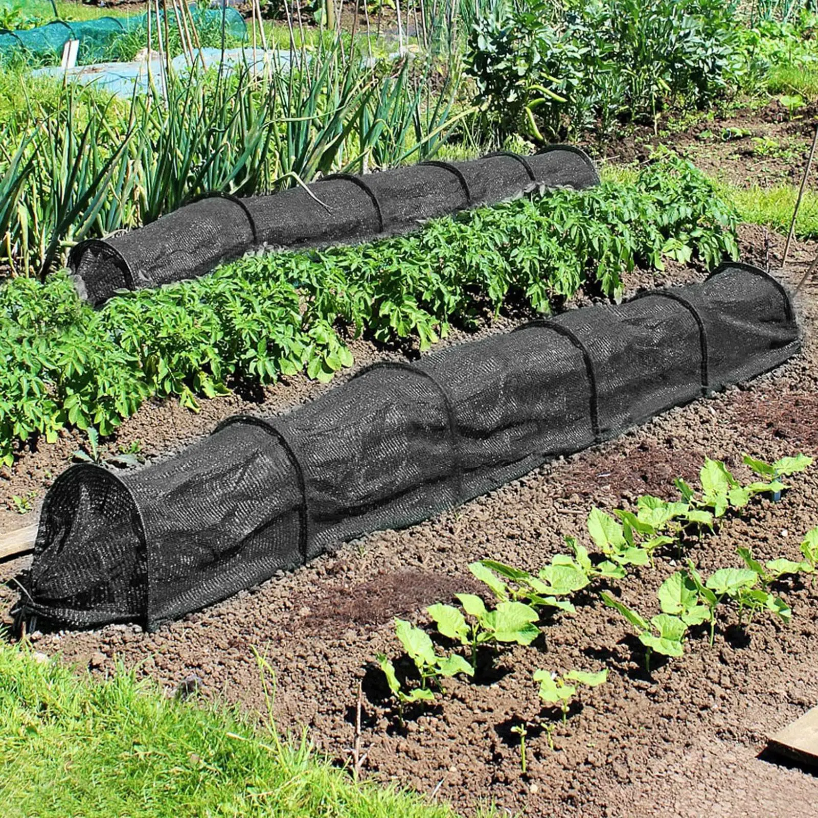 2 in 1 Portable Greenhouse Easy Use, Plant Cover for Balcony Vegetables