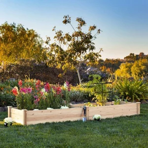 Voltsify Solid Wood Raised Garden Bed with 2 Compartments for Flowers, Herbs and Vegetables