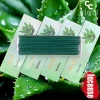 Aloe Scented High-Quality Chinese Incense, 12cm Long Natural Incense Sticks, 35 Sticks/Box, Made from Aloe Incense Powder, with a Strong and Long-Lasting Fragrance, Refreshing and Invigorating, Purifying the Air, Suitable for Home, Office, Hotel, Club, Etc., Light Luxury Packaging, Perfect for Holiday Gifts