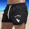 2026 Hot Sale Cross Men's Quick-dry Board Shorts Summer Male Daily Casual Sports Beach Shorts Gym Fitness Boxing Running Shorts