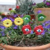 6pcs Flower Plant Eye Post Decoration Flower Pot Outdoor Courtyard Decoration Miniature Statue Fairy Tale Garden Decoration