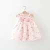 Baby Girl Dress Summer Floral Embroidered Spaghetti Strap Girl Dress Adorable Bow Princess Baby Dress Baby Girl Clothes