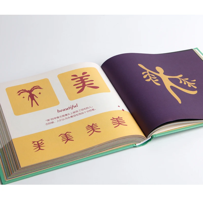 Chinese Characters Are Painted Learn Chinese Book Early Childhood Education Baby Enlightenment Book - Image 3