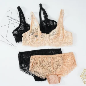 Sexy Women Bra Suit Lace Transparent Bras Panties Sets Exquisite Embroidery Underwear Set Fashion Lady Bralette Lingerie