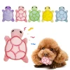 Small dog toy mini turtle plush chew toy for self-entertainment, durable biting, dental health safe, and fun play.