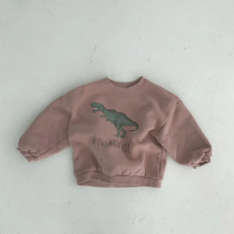 Winter Baby Girls Boys Fleece Velvet Warm Long Sleeve Tops Spring Kids Sweatershirt Dinosaur Print Hoodies - Image 4