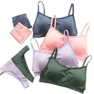 Women Seamless Bra And Panties Set Sexy High Waist Briefs Wire Free Bra Female Sexy Underwear Brazilian Panties Lingerie Set