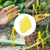 100Pcs Garden Plant Support Clips Strong Hold Vine Anchors for Seedlings Tangle Prevention Easy Soil Insertion Farming