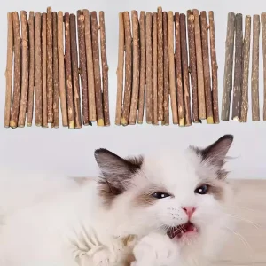 10PCS/15PCS/20PCS Cat-snack Polygonum natural polygonum stick molar stick thin rod polygonum