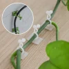 10pcs/Set Green Plant Fixer Wall Hanging Style Universal Hook Trellis for Basket Vine Climbing Plant Household Garden Accessory