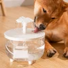 1200ml Pet Drinking Dispenser Drinker USB Auto Filter Transparent Cat Drinker Pet Water Fountain Automatic Cat Drink Bowl Filter