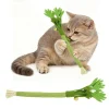 1/3PCS Interactive Cat Chew Toys, Natural Silver Vine Stick Celery Catnip Rope Toys Teeth Cleaning Dental Care for Indoor Cats