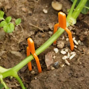 200Pcs Strawberry Plant Clips Plastic Stolon Fixing Clamps for Vine Support Seedling Planting Garden Tools Hook on Bed Rails