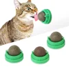 360° Rotatable Wall Stick-on Cat Catnip Ball Toy Natural Healthy Treats Hairball Removal Aids Digestion Teeth Cleaning Cat Snack