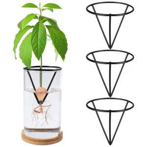3Pcs Avocado Germinator Avocado Tree Growing Kits Conical Metal Stands Triangle Bracket Bamboo Base Sprouting Plant(Black)