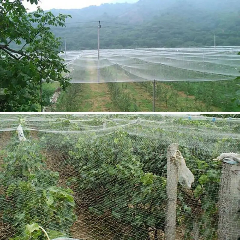 4.92ft Bird Net Garden Mesh Netting Insect Barrier Bird Netting for Garden Protect Vegetable Plants Fruit Trees Garden Supplies - Image 3