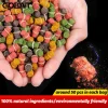 50PCS Rubber Band Particles Bait Granular Fishing Food Aquatic Nutrition Feed Carp Pesca Attractant Flavor Elastic Soft Lure