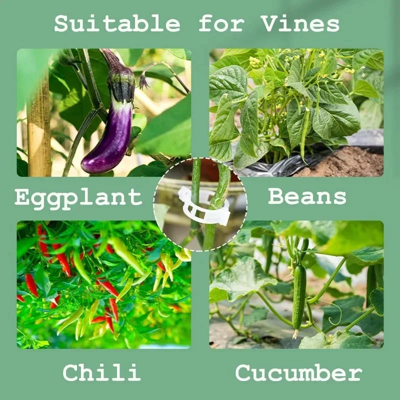 50pcs Tomato Clips Plastic Trellis Clips Plant Support Clipsfor Support, Grape Vine, Tomato Vine, Vegetables Plants Garden Clips - Image 5