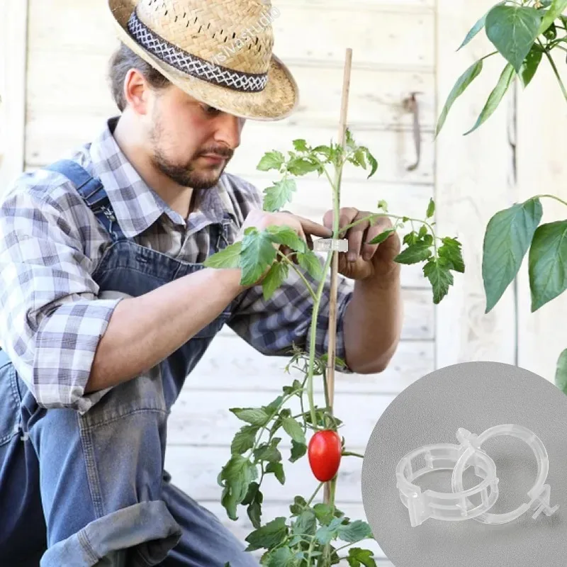 50pcs Tomato Clips Plastic Trellis Clips Plant Support Clipsfor Support, Grape Vine, Tomato Vine, Vegetables Plants Garden Clips - Image 6