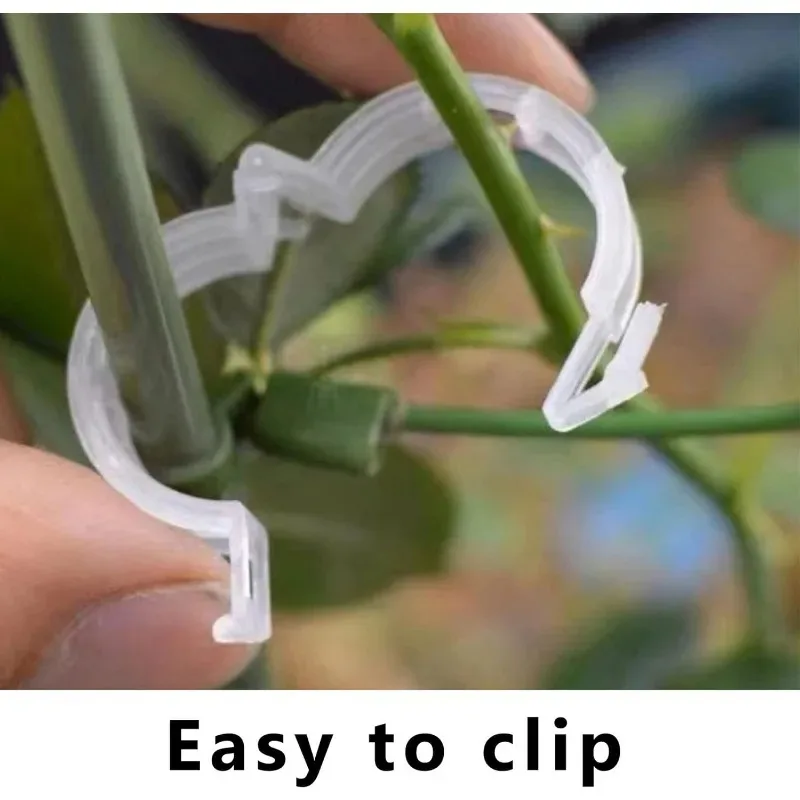50pcs Tomato Clips Plastic Trellis Clips Plant Support Clipsfor Support, Grape Vine, Tomato Vine, Vegetables Plants Garden Clips - Image 4